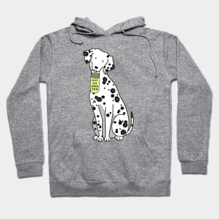 Dalmatian holding water bottle Hoodie